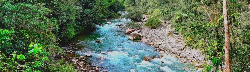 parque nacional podocarpus loja