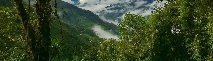 reserva tapichalaca loja