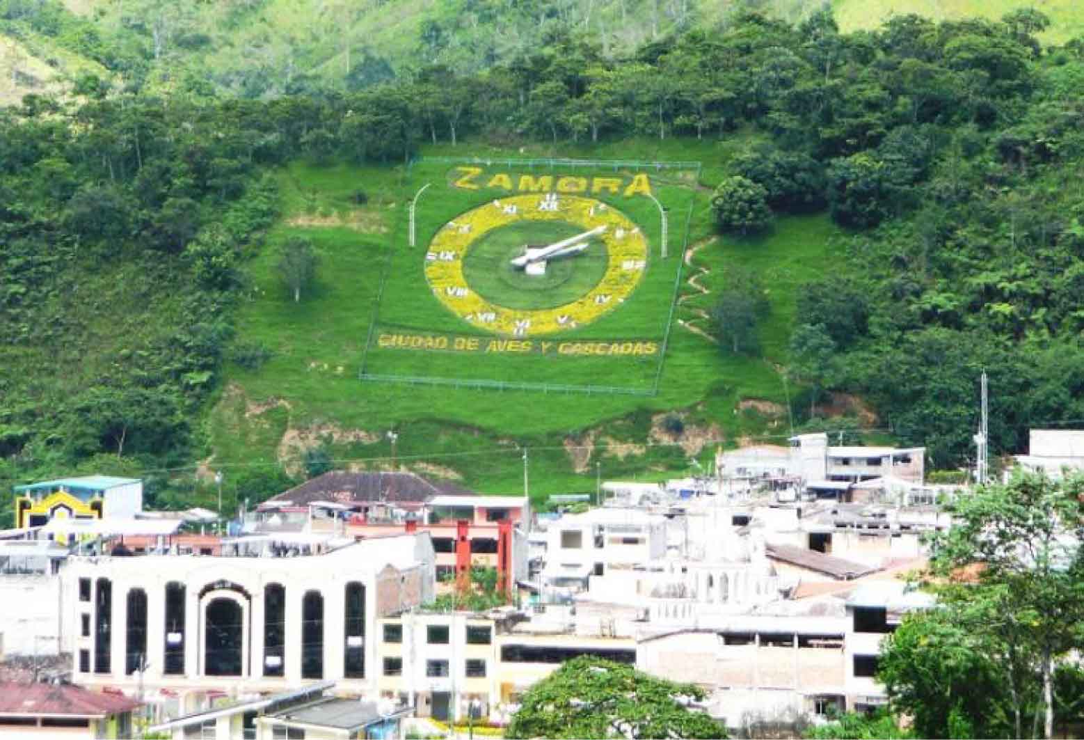 Agencia en cooperativa loja